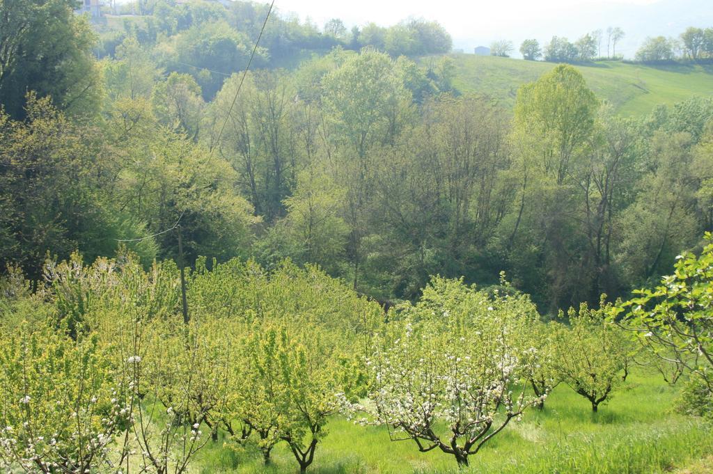 Casa Dell' Abbondanza B&B Agriturismo Vigoleno Екстериор снимка