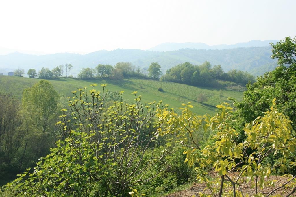 Casa Dell' Abbondanza B&B Agriturismo Vigoleno Екстериор снимка