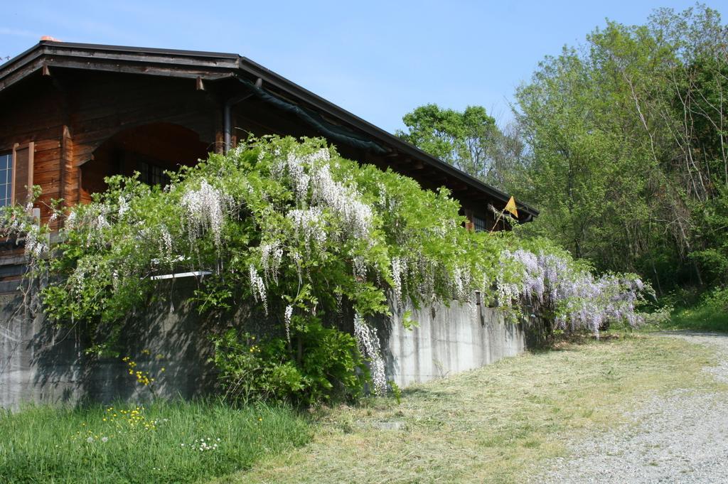 Casa Dell' Abbondanza B&B Agriturismo Vigoleno Екстериор снимка