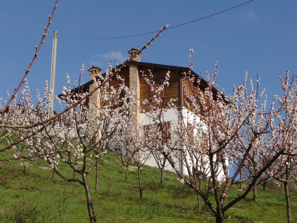 Casa Dell' Abbondanza B&B Agriturismo Vigoleno Екстериор снимка