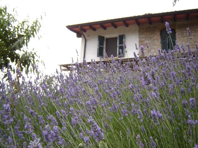 Casa Dell' Abbondanza B&B Agriturismo Vigoleno Екстериор снимка
